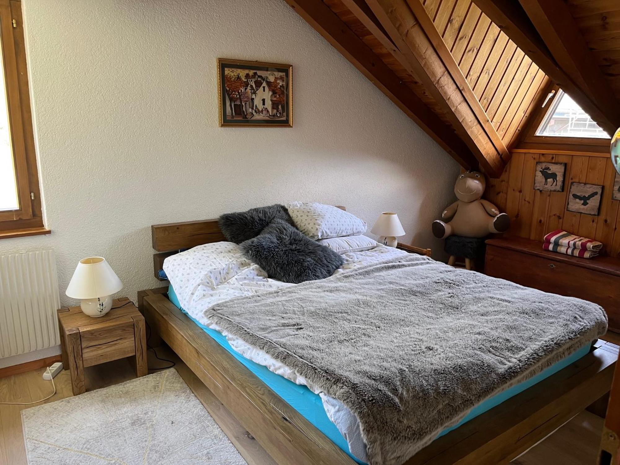 Chalet Les Rhodos Appartement Le Yeti ル・クロセッツ エクステリア 写真
